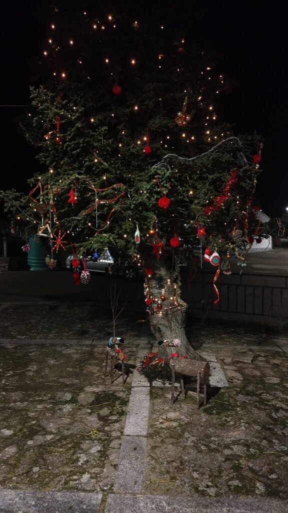 IMG20251207191033-576x1024 🎄 Encuentro de Navidad 2025